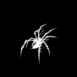 happy spider
