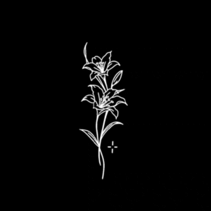 Star lily