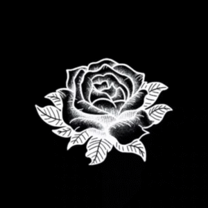 passion rose