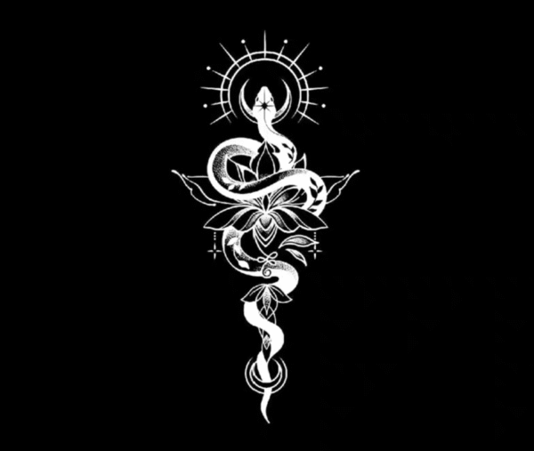 snake lotus