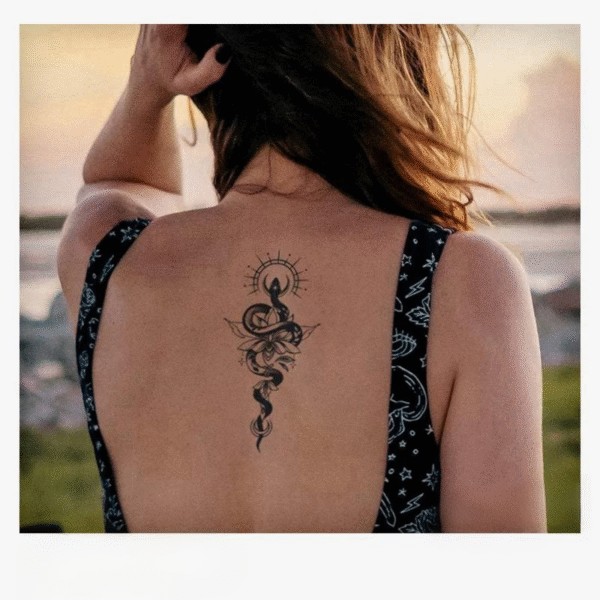 snake lotus - Image 2
