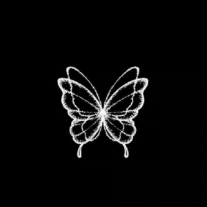 ghost butterfly