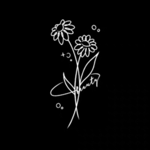 Starlight Daisy