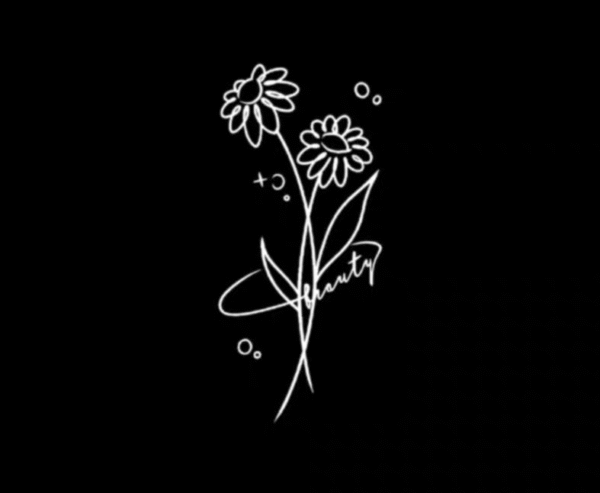 Starlight Daisy