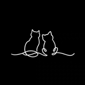 two kittens