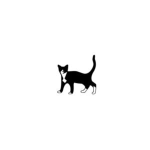 black cat
