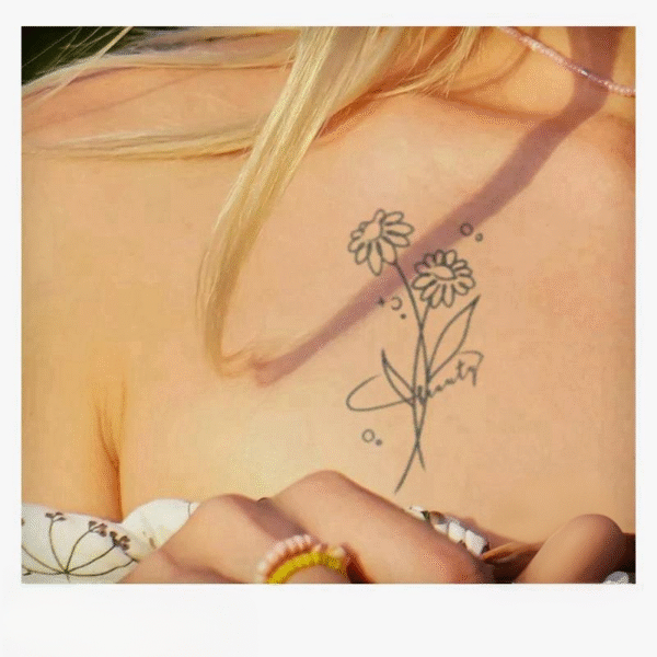 Starlight Daisy - Image 2